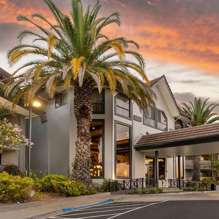 Best Western Plus Novato Oaks Inn Екстериор снимка